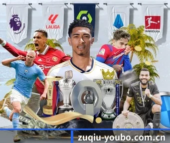 zuqiu-youbo.com.cn APP
